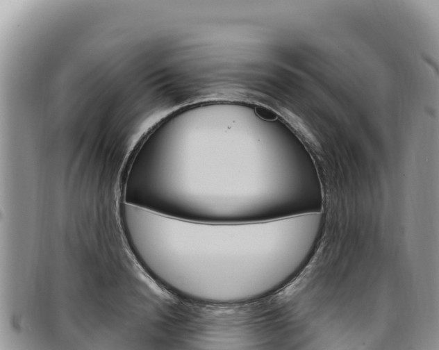 X0000097300846200802151120