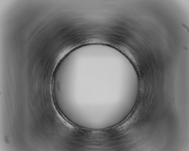 X0000097300847200802151120