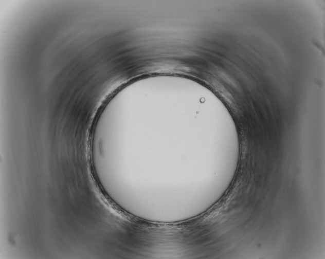 X0000097300848200802151120