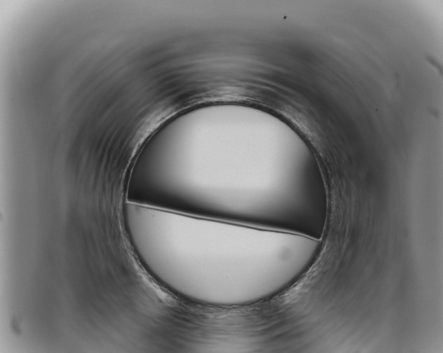 X0000097300850200802151120