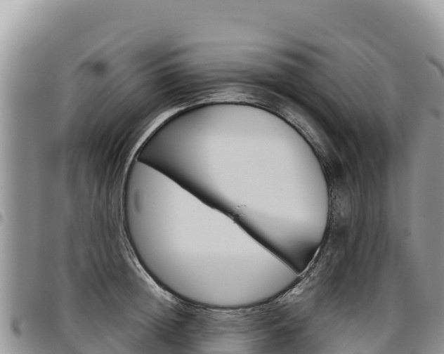 X0000097300852200802151120