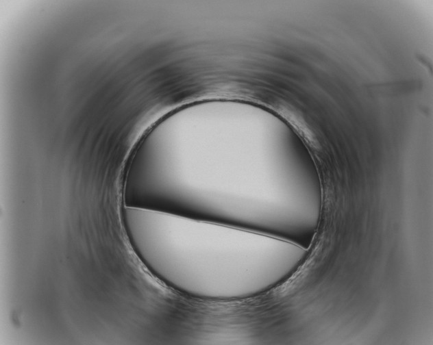 X0000097300854200802151120