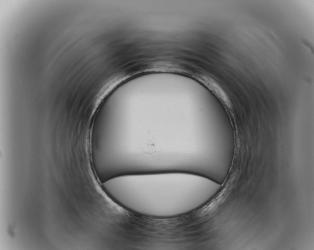 X0000097300855200802151120