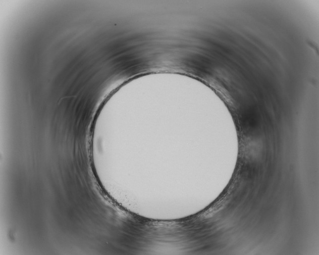 X0000097300856200802151120