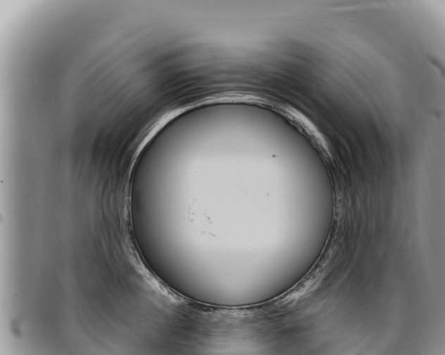 X0000097300860200802151120