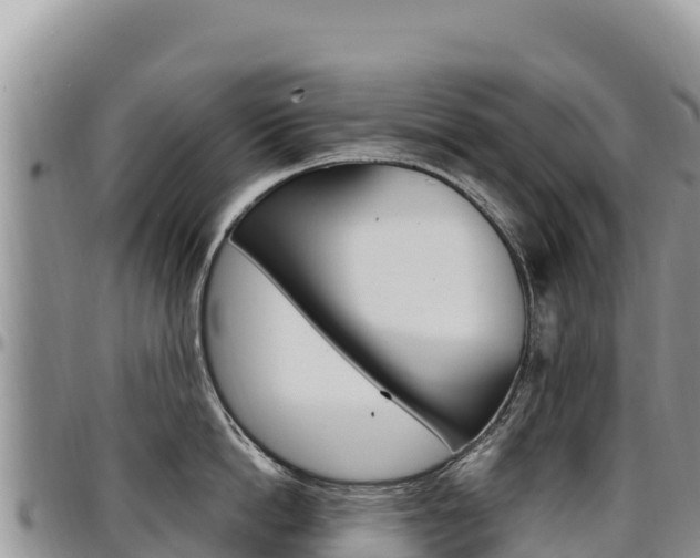X0000097300862200802151120