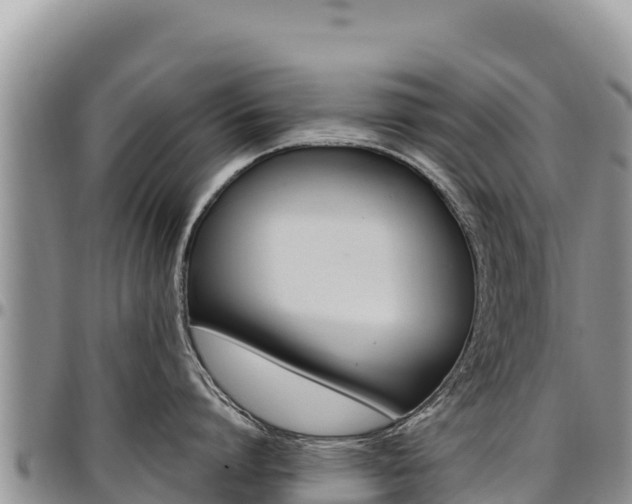 X0000097300864200802151120