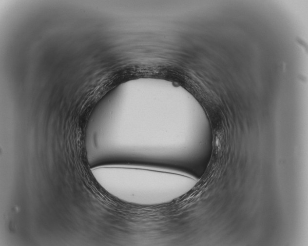 X0000097300867200802151120