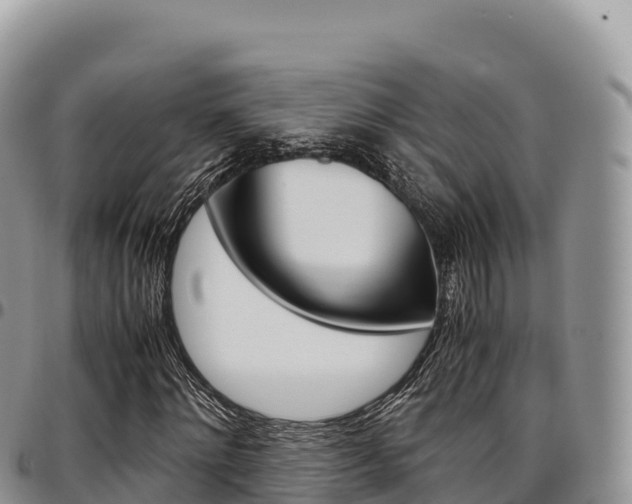 X0000097300868200802151120