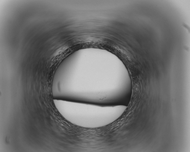 X0000097300869200802151120