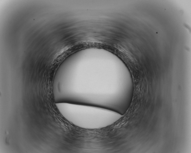 X0000097300870200802151120
