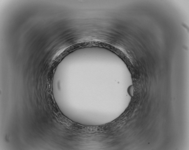 X0000097300871200802151120