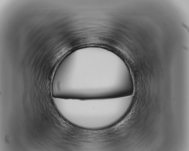 X0000097300873200802151120