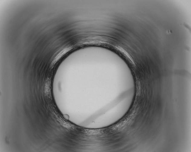 X0000097300874200802151120