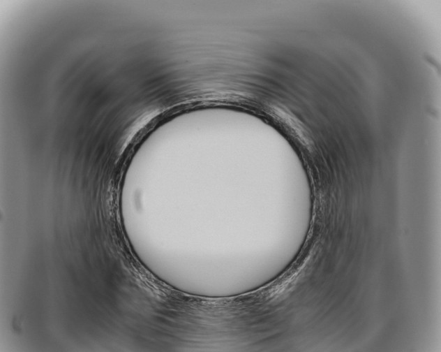 X0000097300875200802151120