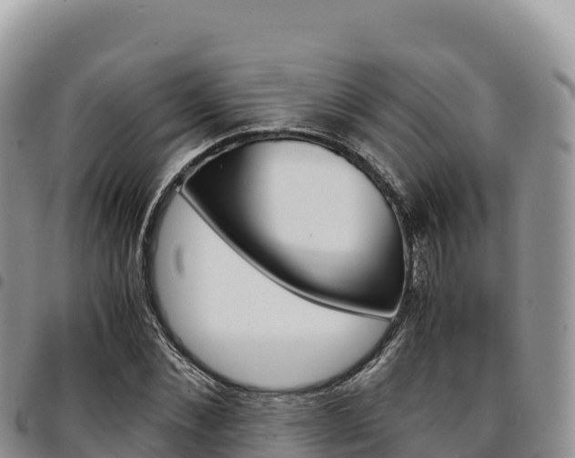 X0000097300876200802151120