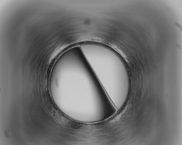 X0000097300877200802151120