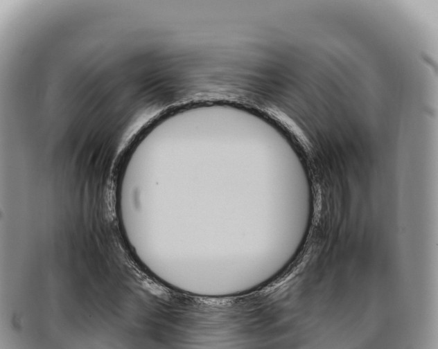 X0000097300878200802151120