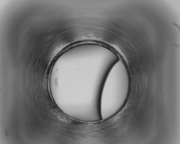 X0000097300879200802151120