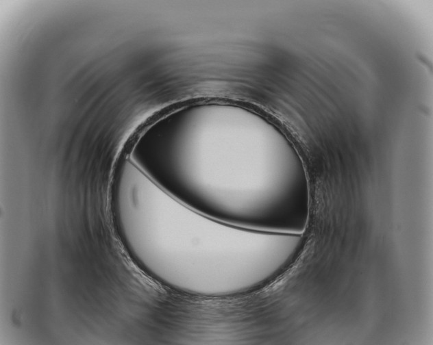 X0000097300880200802151120
