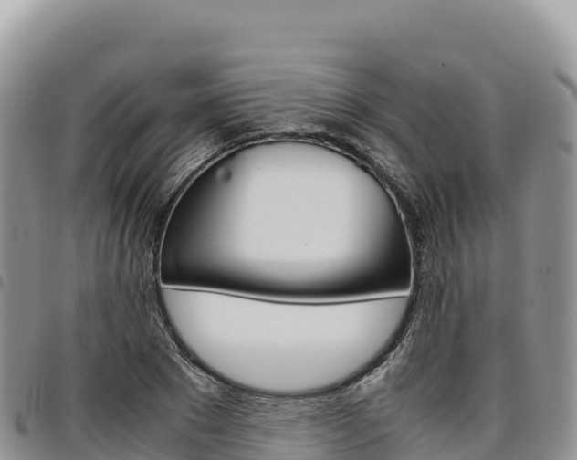 X0000097300881200802151120
