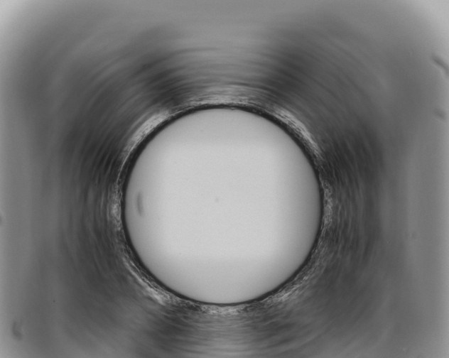 X0000097300882200802151120