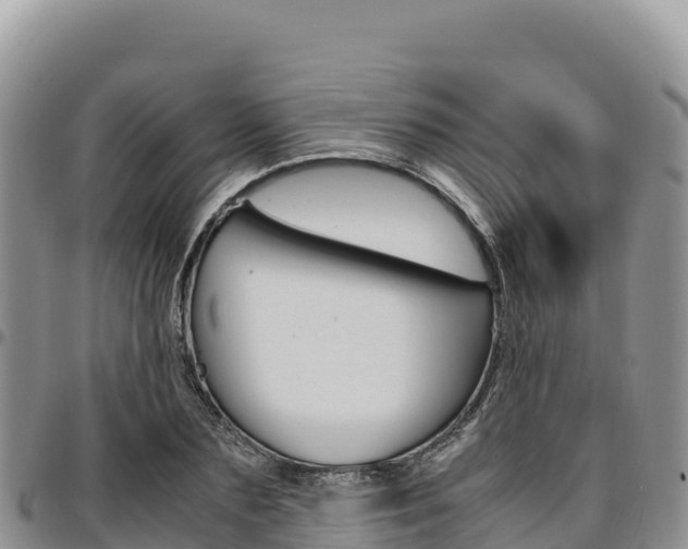 X0000097300883200802151119