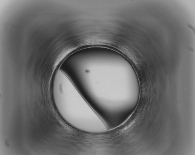 X0000097300885200802151119