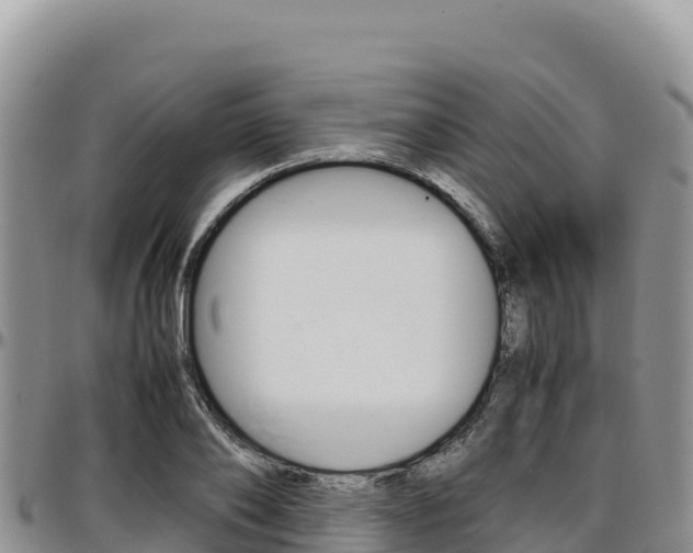 X0000097300886200802151119