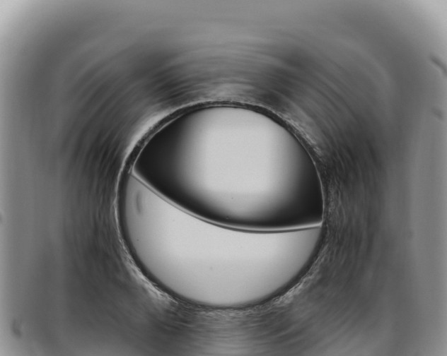 X0000097300888200802151119