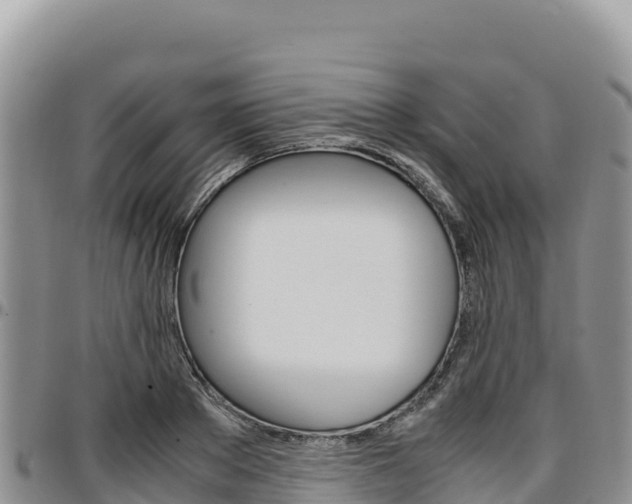X0000097300889200802151119