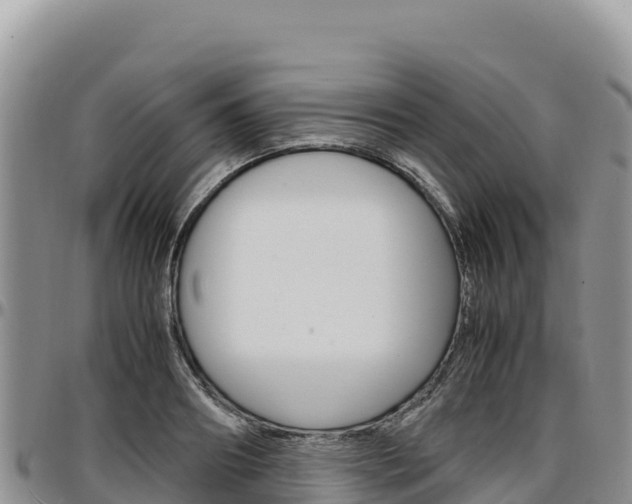X0000097300890200802151119