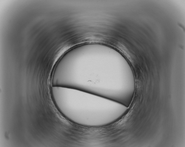 X0000097300891200802151119