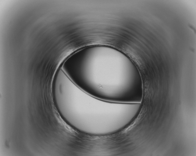 X0000097300892200802151119