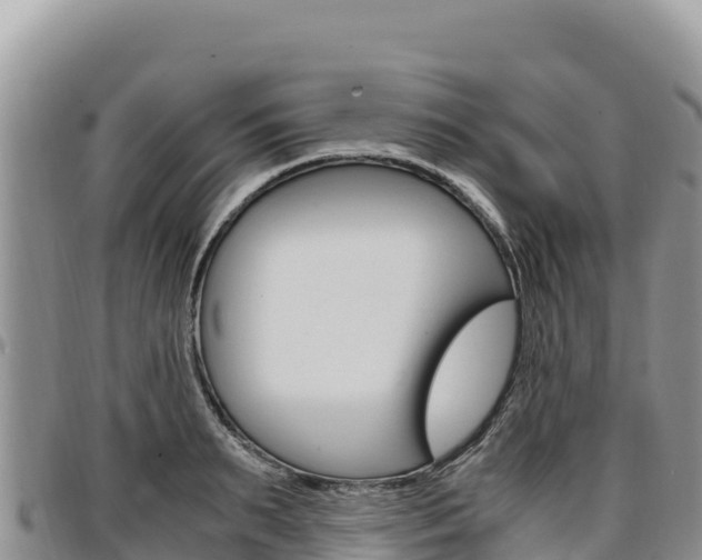 X0000097300895200802151119