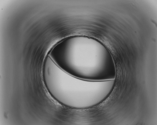 X0000097300896200802151119