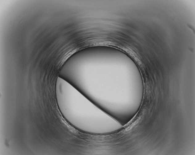 X0000097300897200802151119