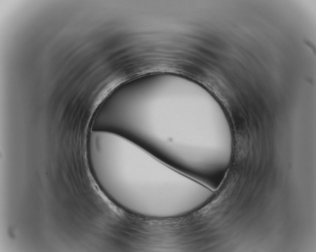 X0000097300898200802151119