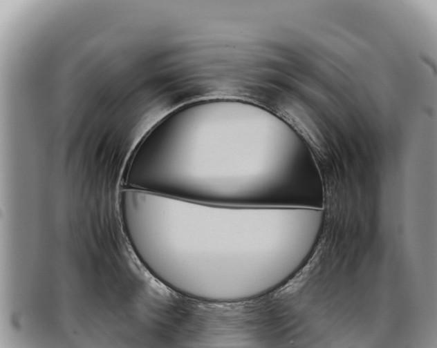X0000097300900200802151119
