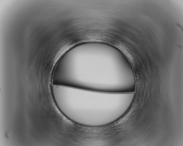 X0000097300901200802151119