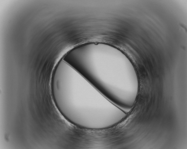 X0000097300902200802151119