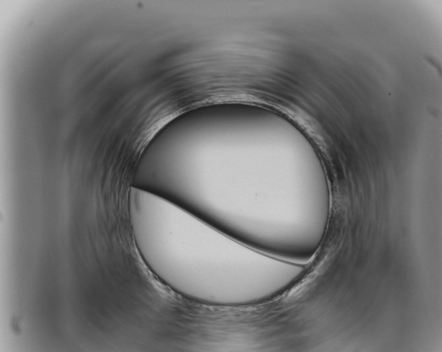 X0000097300905200802151119