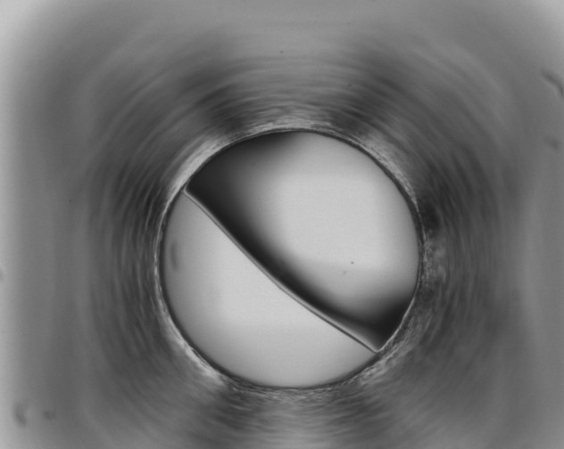 X0000097300906200802151119