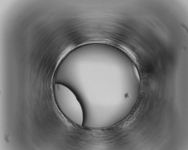 X0000097300907200802151119