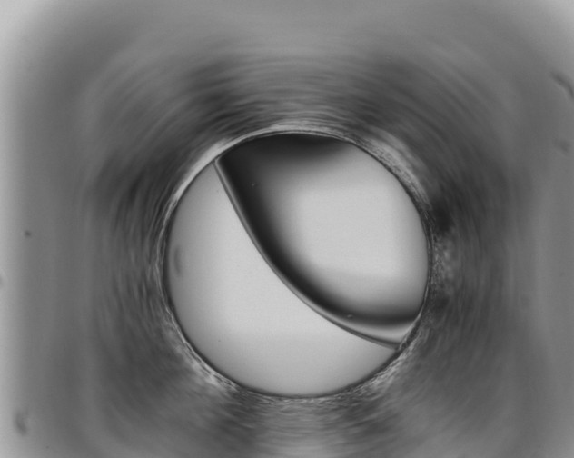 X0000097300908200802151119