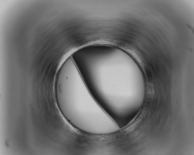 X0000097300910200802151119