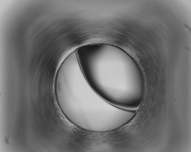 X0000097300912200802151119