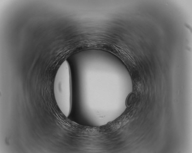 X0000097300914200802151118