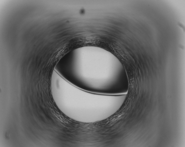 X0000097300916200802151118
