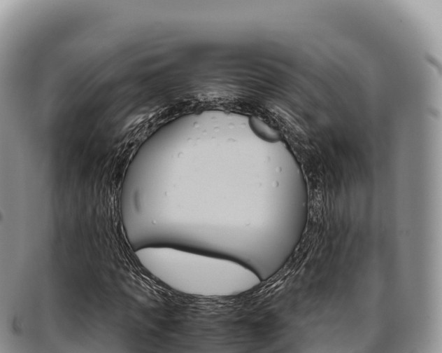 X0000097300917200802151119